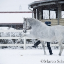 Ronja - Februar 2015