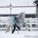 Ronja - Februar 2015