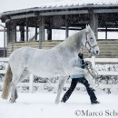 Ronja - Februar 2015