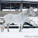 Ronja - Februar 2015