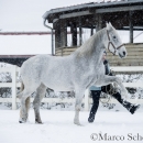 Ronja - Februar 2015