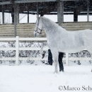 Ronja - Februar 2015
