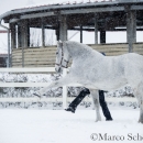 Ronja - Februar 2015