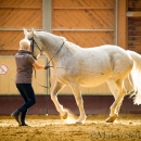 Ronja im Training