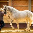 Ronja im Training
