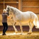 Ronja im Training