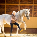 Ronja im Training