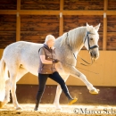 Ronja im Training