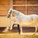 Ronja im Training