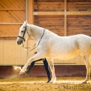 Ronja im Training