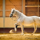 Ronja im Training