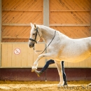 Ronja im Training