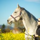 Ronja Herbst 2015