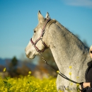 Ronja Herbst 2015