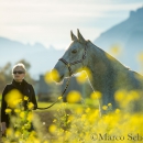 Ronja Herbst 2015