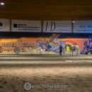C_DSF1210