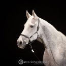 Ronja & M.Alea - Hallenshooting