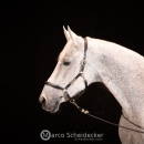 Ronja & M.Alea - Hallenshooting