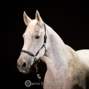 Ronja & M.Alea - Hallenshooting