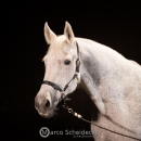 Ronja & M.Alea - Hallenshooting