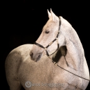 Ronja & M.Alea - Hallenshooting