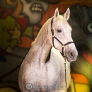 Ronja & M.Alea - Hallenshooting