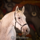 Ronja & M.Alea - Hallenshooting
