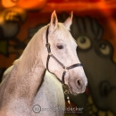 Ronja & M.Alea - Hallenshooting