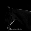 Ronja & M.Alea - Hallenshooting