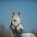 Ronja - Frühling 2019