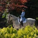 Wenkenpark