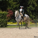 Wenkenpark