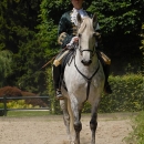 Wenkenpark
