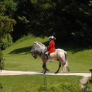 Wenkenpark