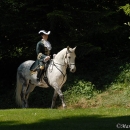 Wenkenpark
