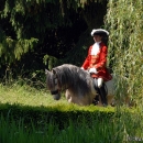 Wenkenpark
