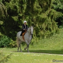 Wenkenpark