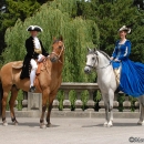 Wenkenpark