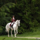Wenkenpark