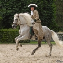 Wenkenpark