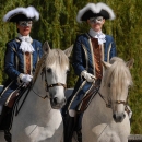 Klassische Reitkunst - Wenkenpark