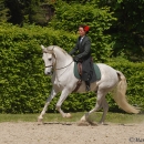 Klassische Reitkunst - Wenkenpark