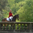 Klassische Reitkunst - Wenkenpark