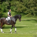 Klassische Reitkunst - Wenkenpark