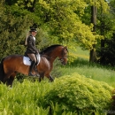 Klassische Reitkunst - Wenkenpark