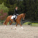 Klassische Reitkunst - Wenkenpark