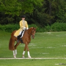 Klassische Reitkunst - Wenkenpark