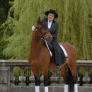 Klassische Reitkunst - Wenkenpark