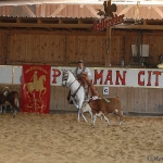 feria de caballo ibericoPullman City