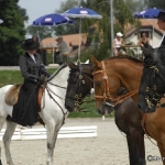3. Lusitano-Festival  Zuchtschau und Körung für Lusitanos Dressurprüfungen für iberische PferdeAvenches Schweiz 2009